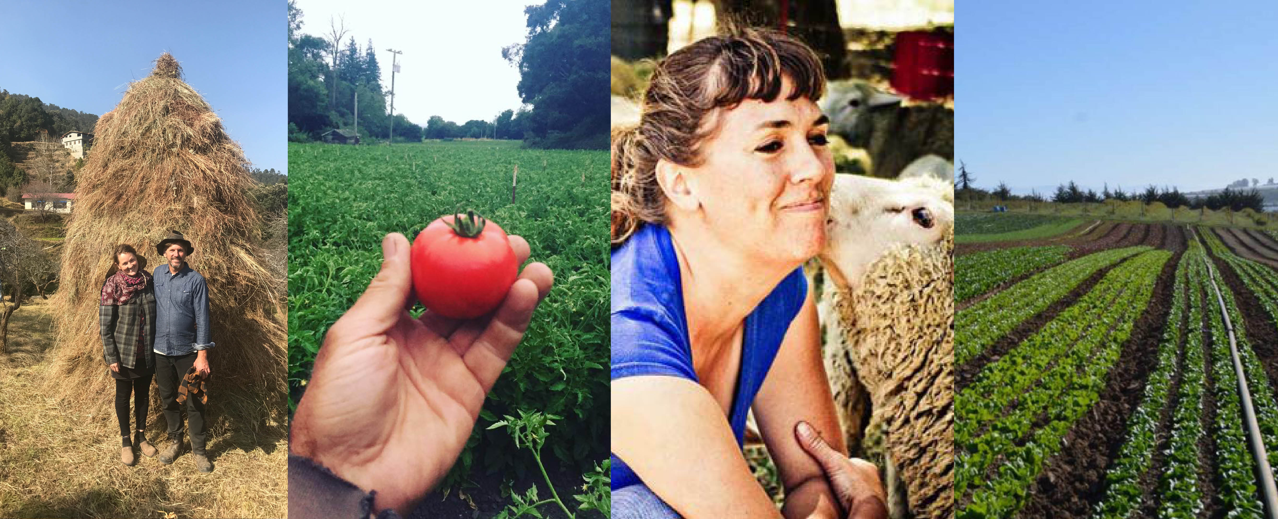 EcoFarm Bus Tour to visit Organic Farms on California’s Central Coast