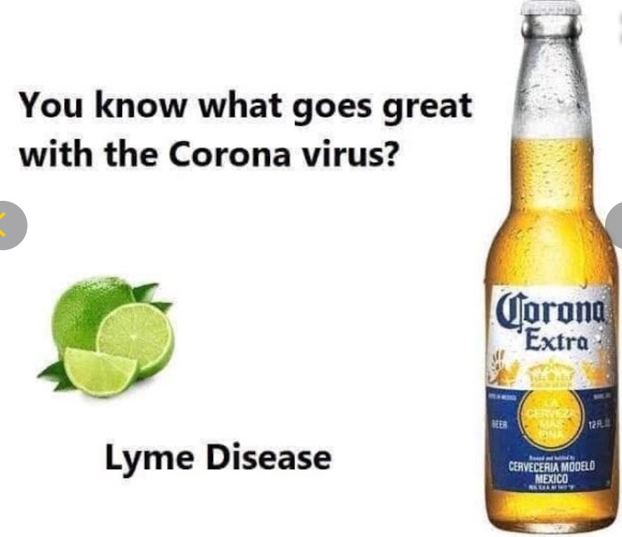 lyme-disease