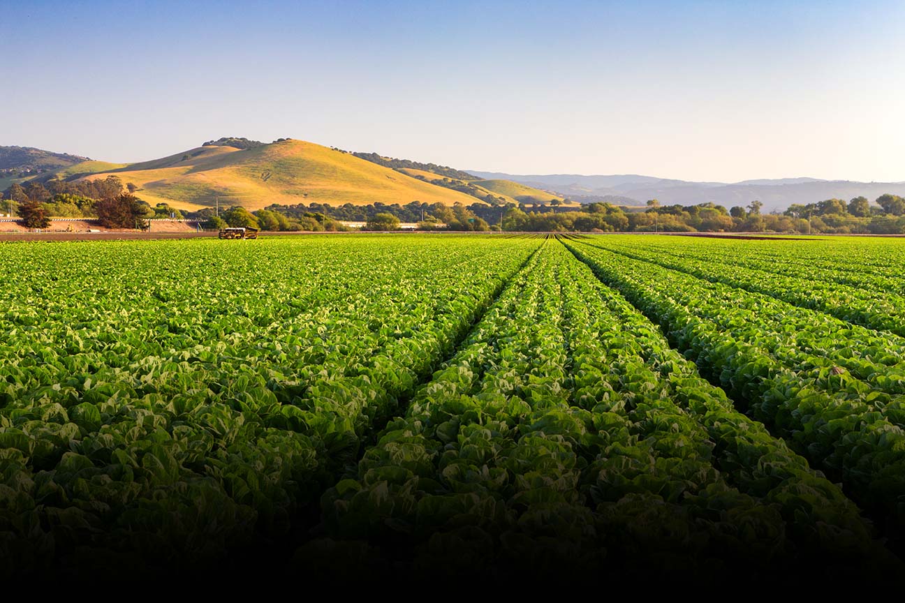 Environmental Racism In South County Voices Of Monterey Bay