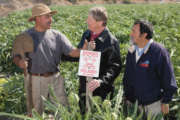 Juan Martinez (left), Bill Monning and Sergio Rangel, posting a pesticide sign in an artichoke field in 2008.
