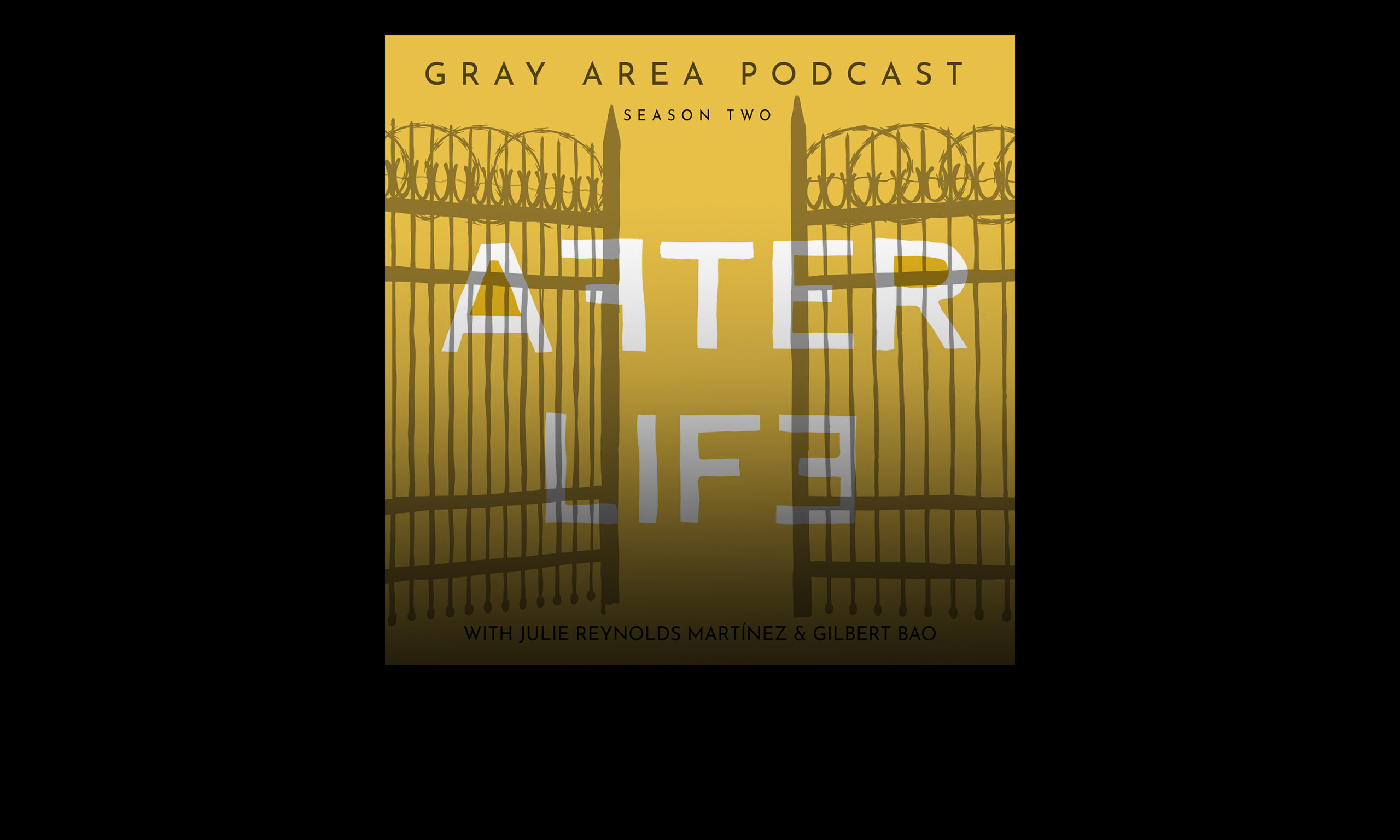 Afterlife  Gray Area