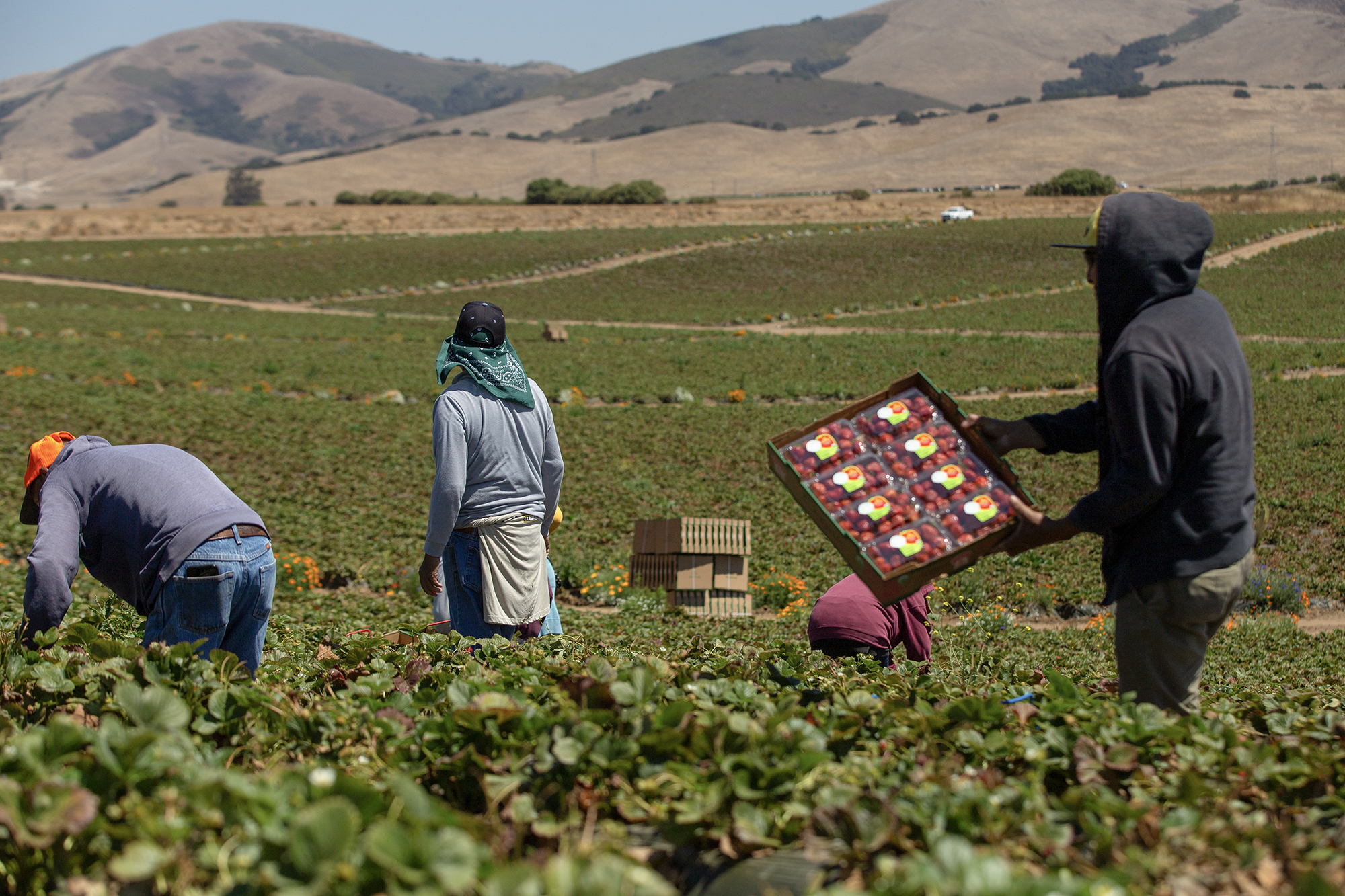 080923_Salinas-Farmworkers_SN_CM_22