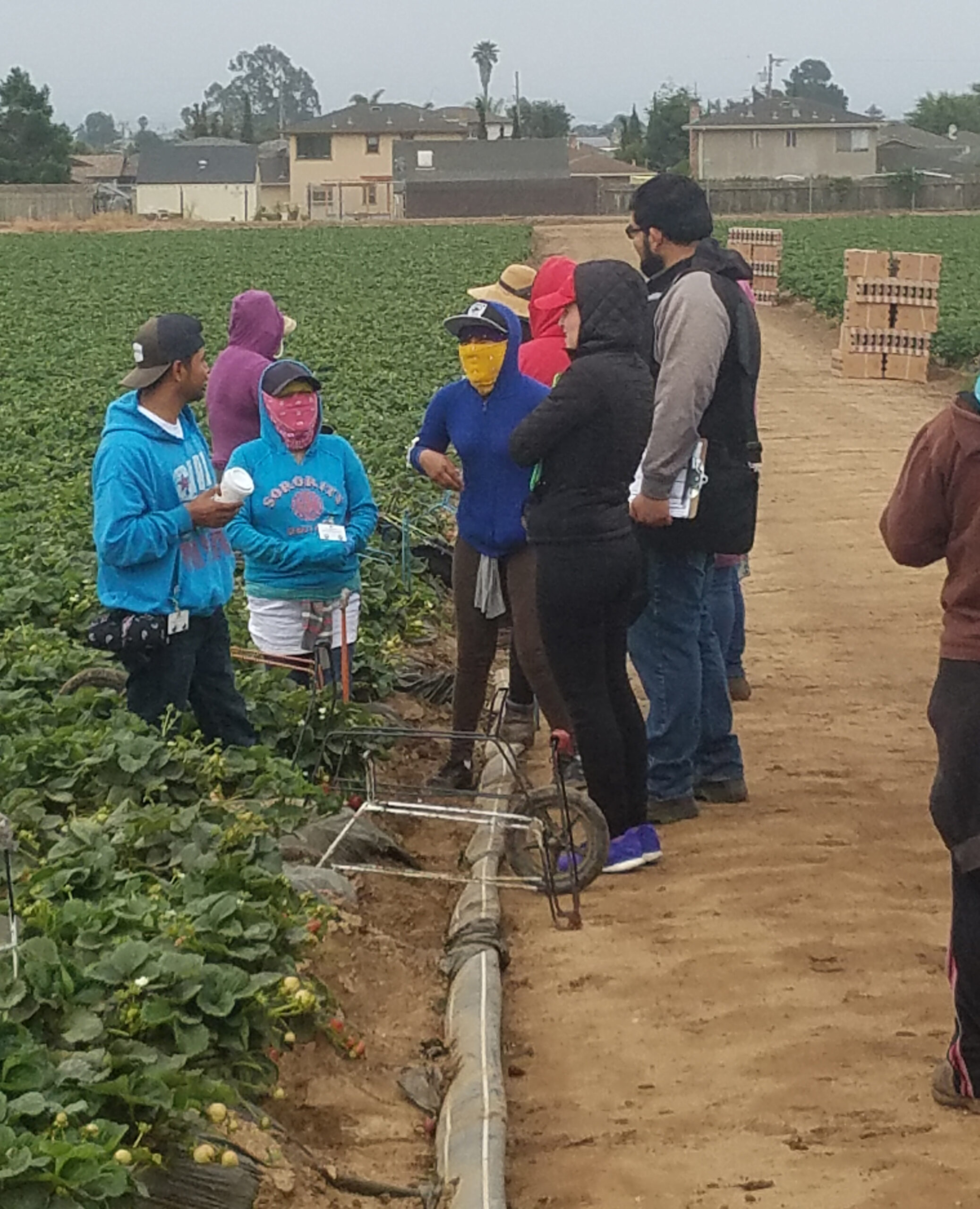 20170623_065133-scaled