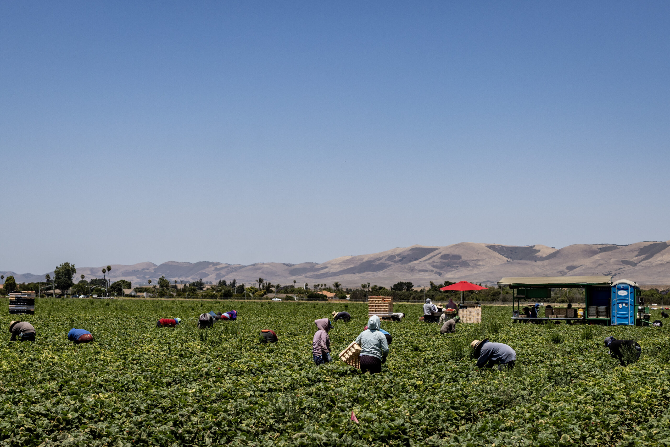 la-me-pesticides-child-farmworkers_39-scaled-1